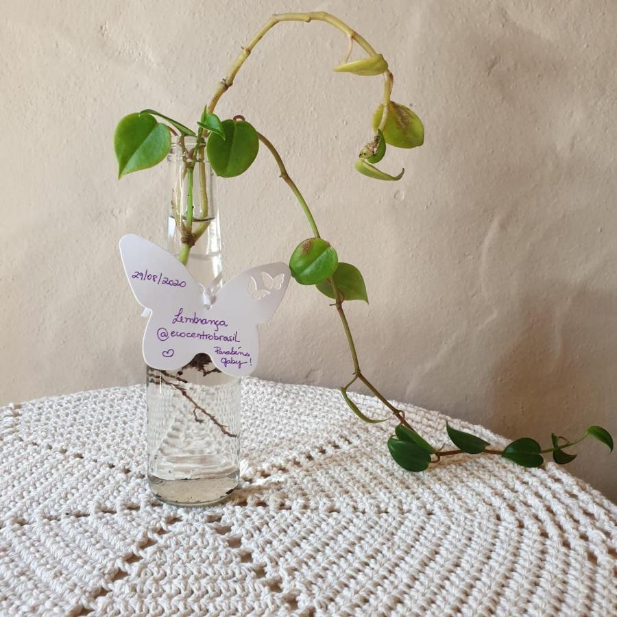Cantinho Do Ceu - Espaco Ecologico Sao Pedro  Ngoại thất bức ảnh