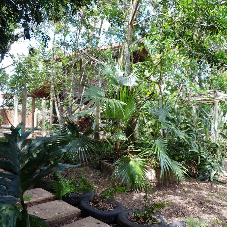 Cantinho Do Ceu - Espaco Ecologico Sao Pedro  Ngoại thất bức ảnh